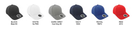 INIVI BOTTLECAP 2 PANEL CAP